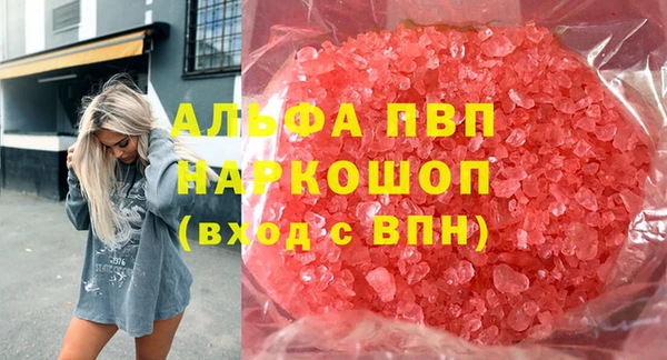 таблы Бородино