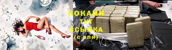 таблы Бородино