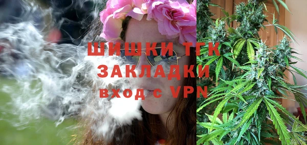 таблы Бородино