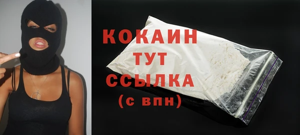 таблы Бородино