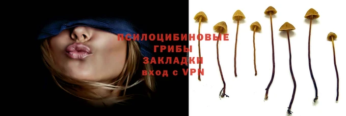таблы Бородино