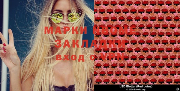 стафф Бронницы