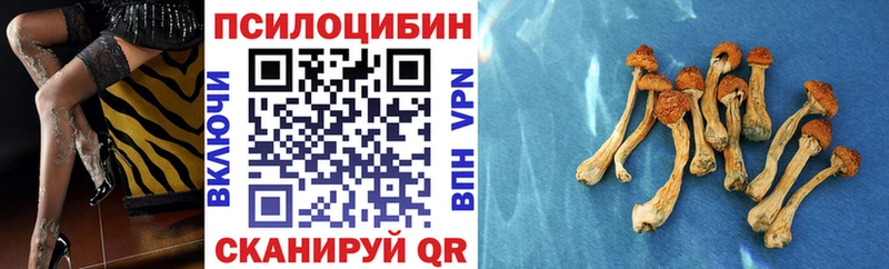 Галлюциногенные грибы Psilocybe Вилюйск